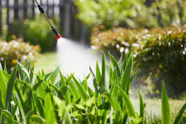 24/7 Emergency Mosquito Control experts in Breckenridge, MN