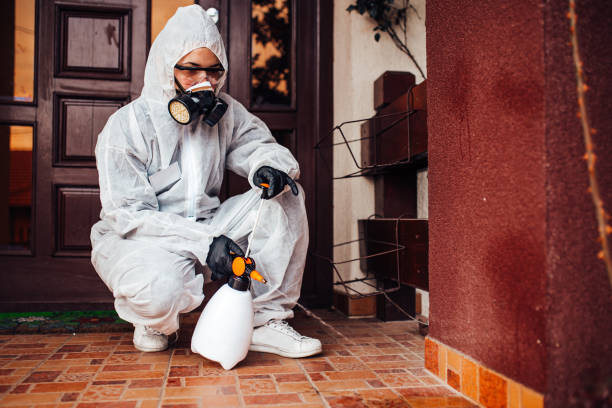 Reliable Mosquito Control contractor in Breckenridge, MN by Show Me Pest Control